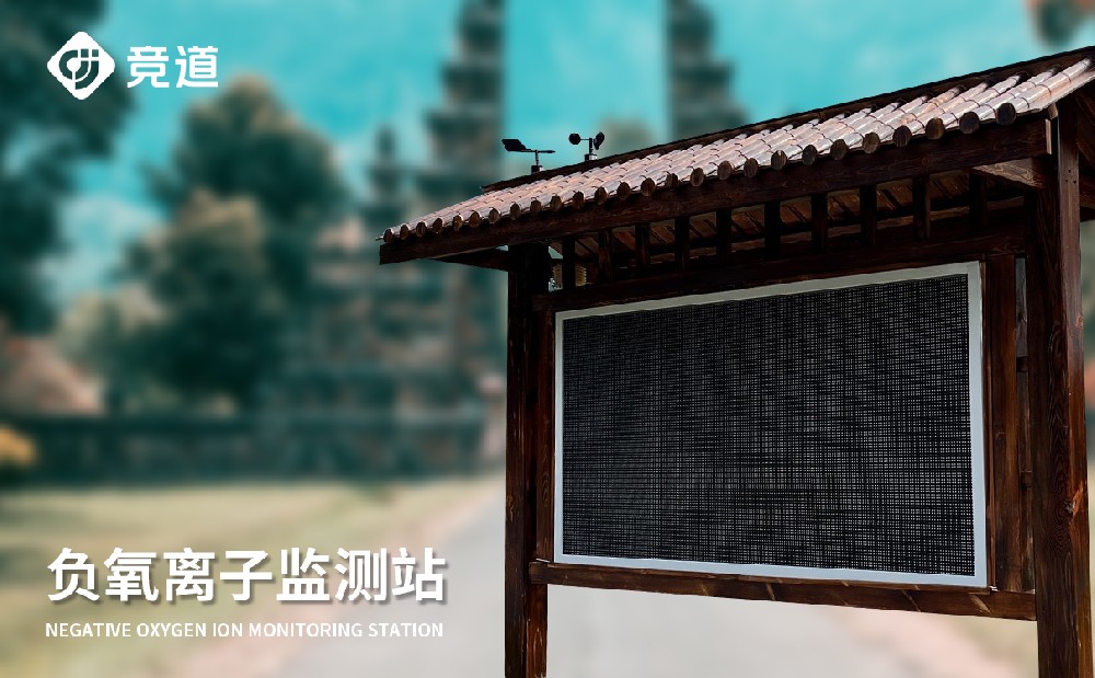 负氧离子监测仪