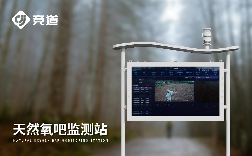 负氧离子监测系统